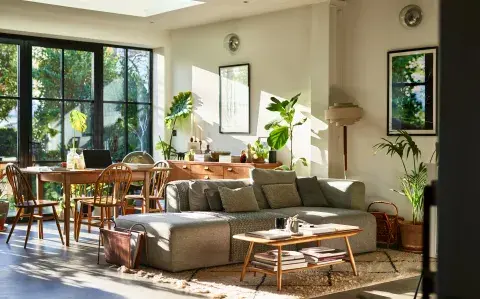 5 plantas de interior que resisten la calefacción y la poca luz en invierno 5 plantas de interior que resisten la calefacción y la poca luz en invierno