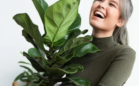 5 plantas influencers: cómo cuidarlas 5 plantas influencers: cómo cuidarlas