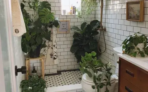 Verde en el baño: las 6 plantas ideales que resisten la humedad y el vapor Verde en el baño: las 6 plantas ideales que resisten la humedad y el vapor