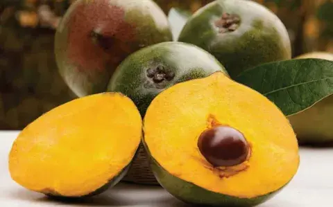 Lúcuma: beneficios del superalimento andino para la mujer en cada etapa