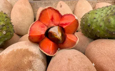 Lúcuma: beneficios del superalimento andino para la mujer en cada etapa