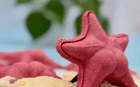 Así es la fábrica de pastas donde podés comprar las estrellas de mar del Conicet