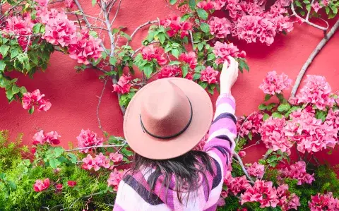 Tu balcón o patio florido en verano: cómo multiplicar tu Santa Rita