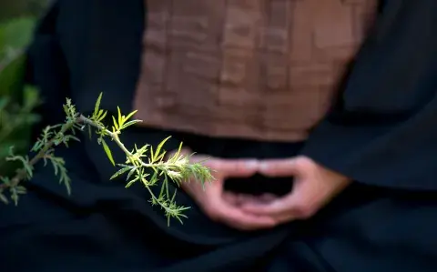 Zazen: El arte milenario para calmar la mente y despertar la conciencia Zazen: El arte milenario para calmar la mente y despertar la conciencia