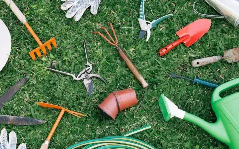 6 cuidados clave que necesita tu jardín en primavera 6 cuidados clave que necesita tu jardín en primavera