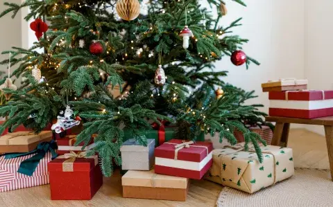 Adiós al árbol de Navidad tradicional: esta es la tendencia que se impone Adiós al árbol de Navidad tradicional: esta es la tendencia que se impone