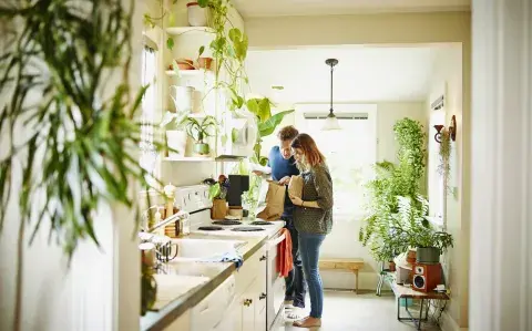 5 plantas ideales para darle vida y color a tu cocina este verano 5 plantas ideales para darle vida y color a tu cocina este verano