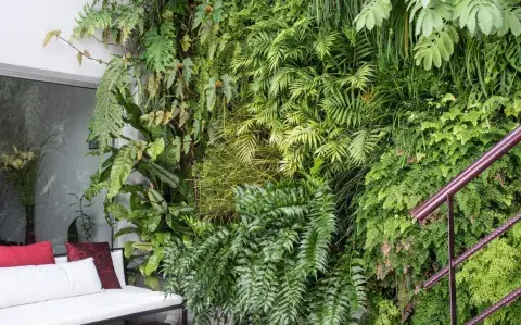 Jardín en miniatura: cómo armar un rincón tropical en pocos metros Jardín en miniatura: cómo armar un rincón tropical en pocos metros