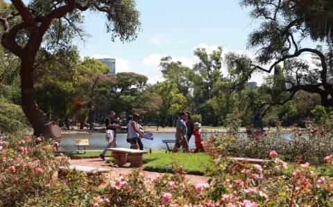 El Rosedal de Palermo en su mejor momento: cómo y cuándo ver su floración de más de 8.000 rosas El Rosedal de Palermo en su mejor momento: cómo y cuándo ver su floración de más de 8.000 rosas