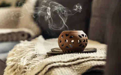 Chau a los malos olores: cinco maneras de que tu casa huela bien naturalmente