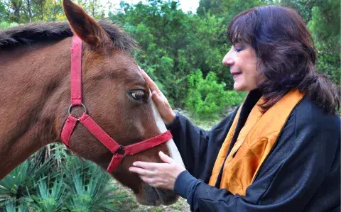 Horóscopo chino 2026: predicciones para cada signo según Ludovica