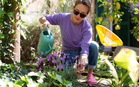 Adiós al jardín perfecto: esta son las tendencias en los espacios verdes en 2026