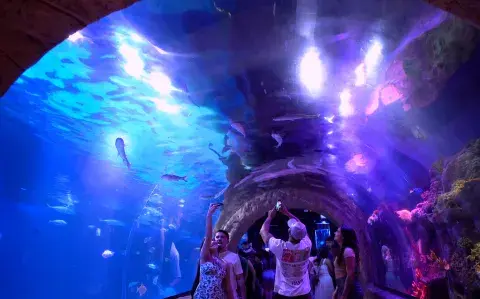 Grupo Oceanic, que reúne cinco parques y atracciones imperdibles, con la posibilidad de acceder a todas a través del Pasaporte de la Diversión, con descuento especial.