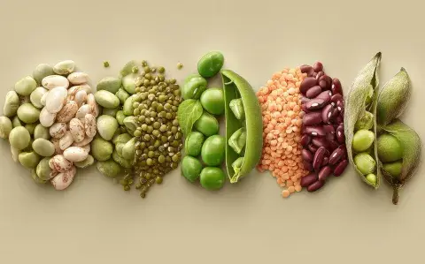 Día Mundial de las Legumbres: 5 motivos para incluir estos alimentos en tu plato