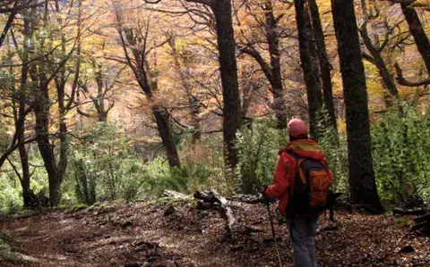 Trekking en Bariloche: 4 senderos imperdibles en plena naturaleza Trekking en Bariloche: 4 senderos imperdibles en plena naturaleza