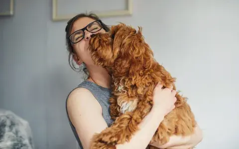 Estas son las 5 razas de perros más tranquilas para la vida en el hogar