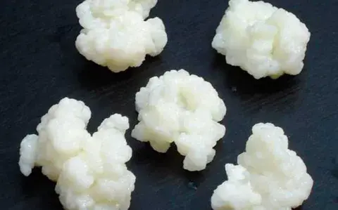 4 superalimentos para incluir en tu dieta 4 superalimentos para incluir en tu dieta