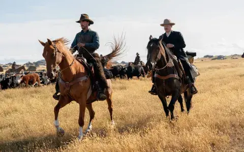 ¿Dónde se pueden ver todas las películas ganadoras?