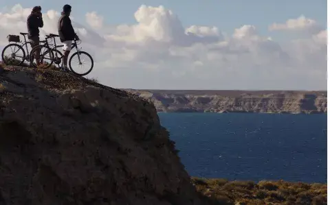 Chubut: tres excursiones para explorar el Golfo Nuevo