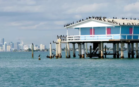 Miami: 10 nuevas propuestas para recorrer la ciudad