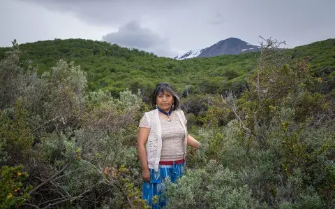 Belleza: de qué se trata la revolución de los estereotipos