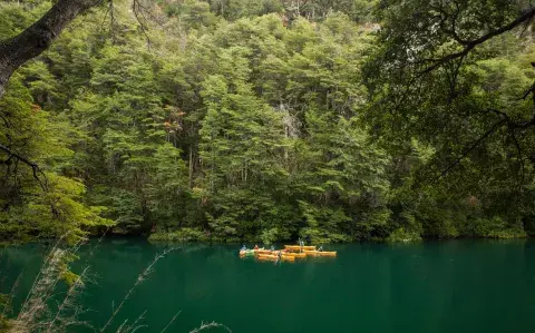 Paraíso patagónico: seis días en kayak por Los Alerces