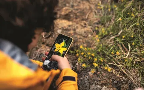 Te mostramos Apps con las que podés contribuir al conocimiento y cuidar el ambiente