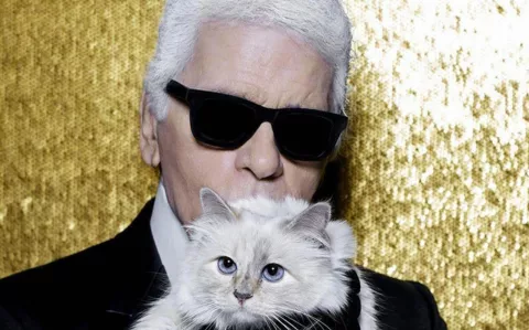 Choupette, la gata de Karl Lagerfeld que heredaría parte de su fortuna