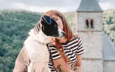 Todo lo que necesitás saber para que viajar con tu perro o gato sea un éxito