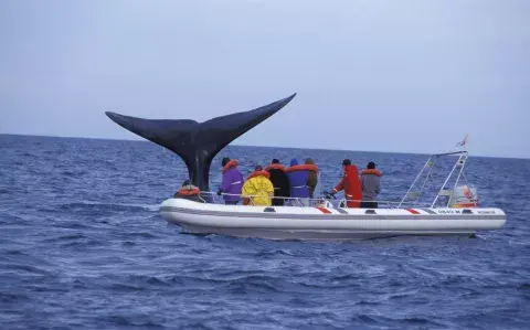 Qué tenés que saber para poder disfrutar del último fin de semana largo en el sur