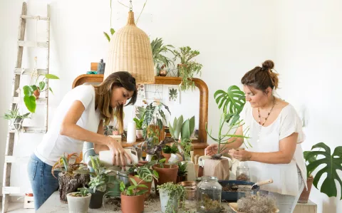 Negocio. Compartían consejos sobre plantas; hoy dan cursos y publican libros