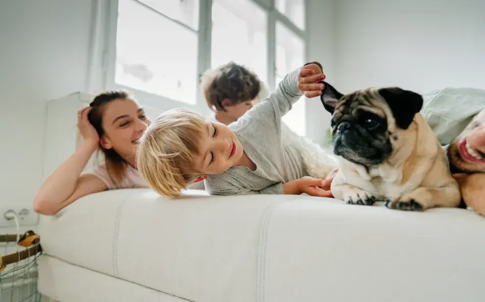 familia juega con perro