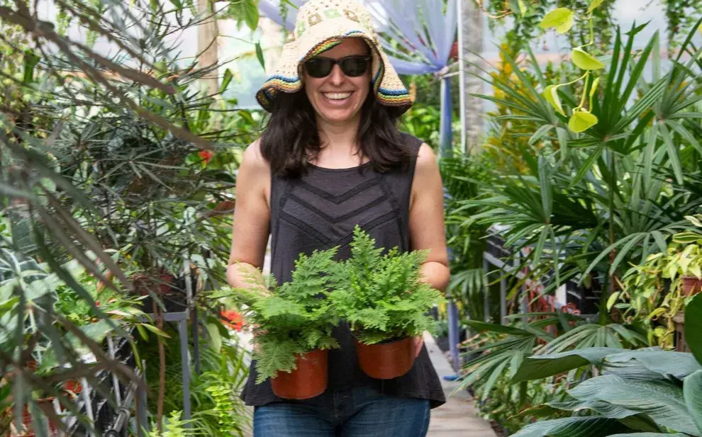 Consejos de expertos para hacer una buena compra en el vivero.