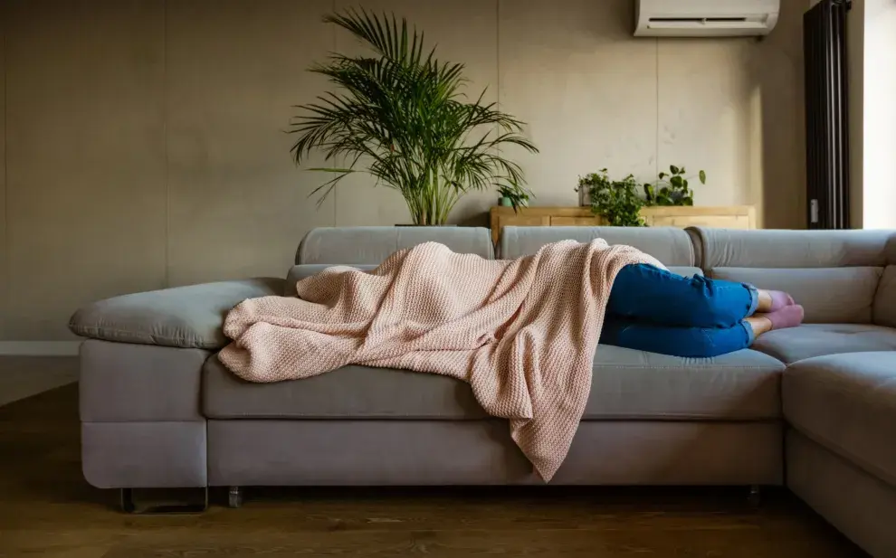 Si con temperaturas bajo cero no te dan ganas de salir de abajo de una frazada... ¿pensaste en tus plantas? ellas también necesitan abrigo durante el invierno.