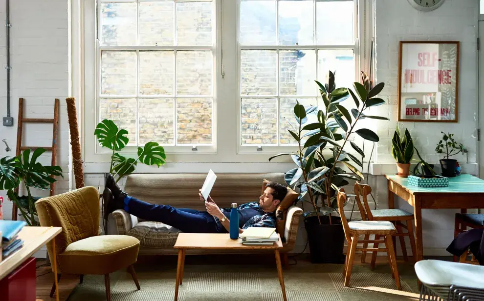 Imponentes, elegantes y llenas de vida, estas especies no solo aportan frescura, sino que también se convierten en verdaderas protagonistas de la decoración, llenando cada rincón de energía y sofisticación natural.