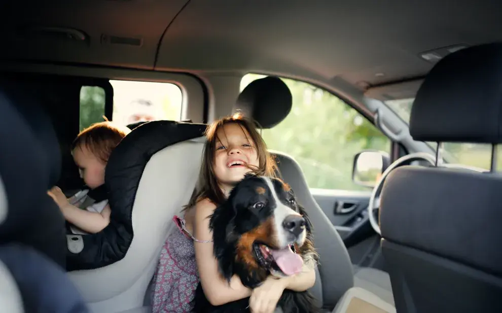 Vacaciones seguras: las 5 cosas que tenés que saber para viajar por la ruta