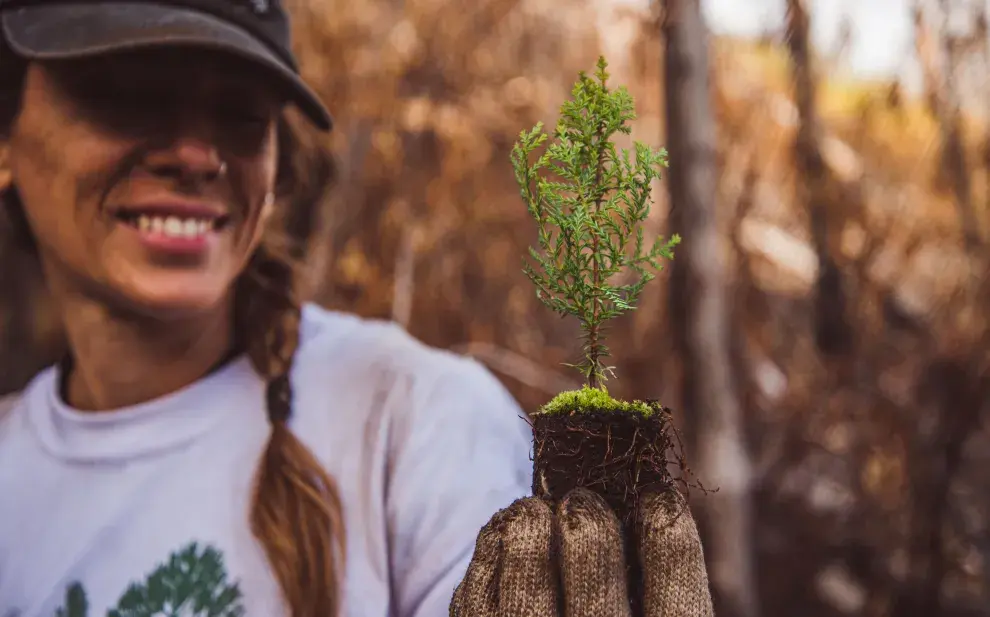 La ONG ReforestArg se ocupa de la restauración ecológica después del fuego: cómo es ese trabajo tan esencial.