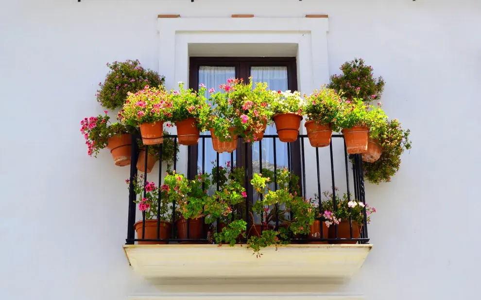 5 plantas resistentes para sumar al balcón en otoño