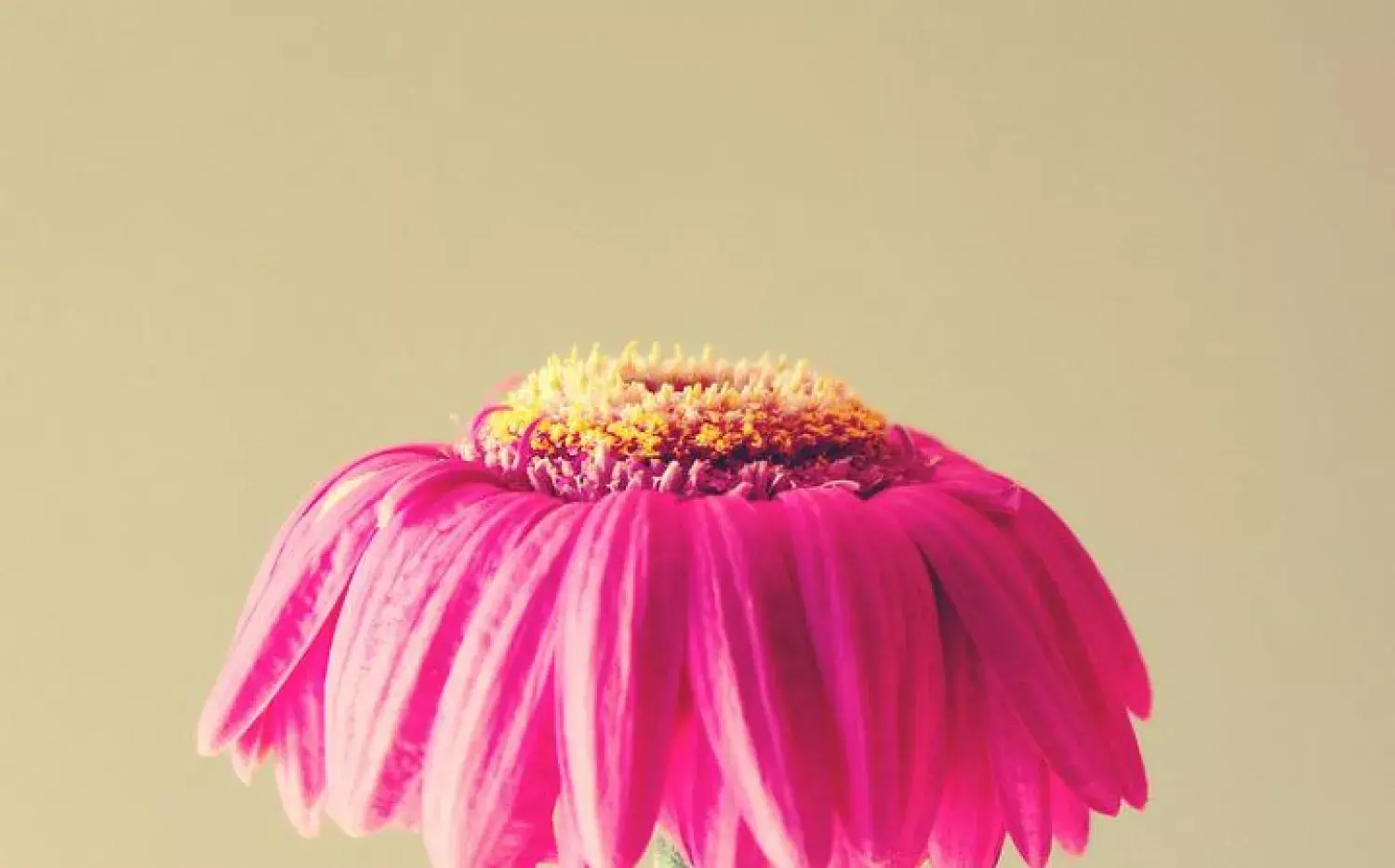 "Perdí el deseo sexual" 🙅🏻‍♀️ Razones y factores que pueden disminuir tu libido