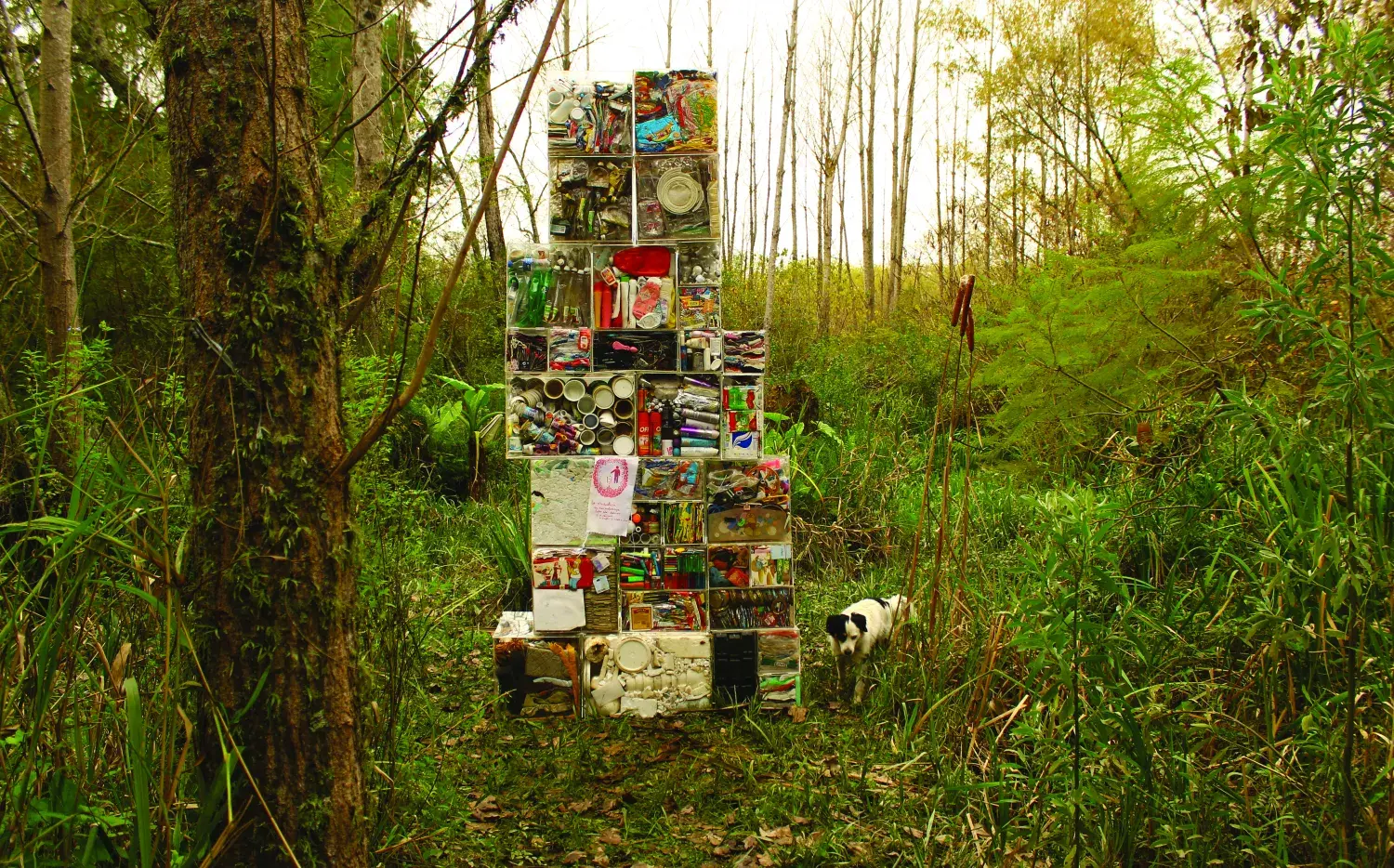 7 emprendimientos para reducir los residuos 