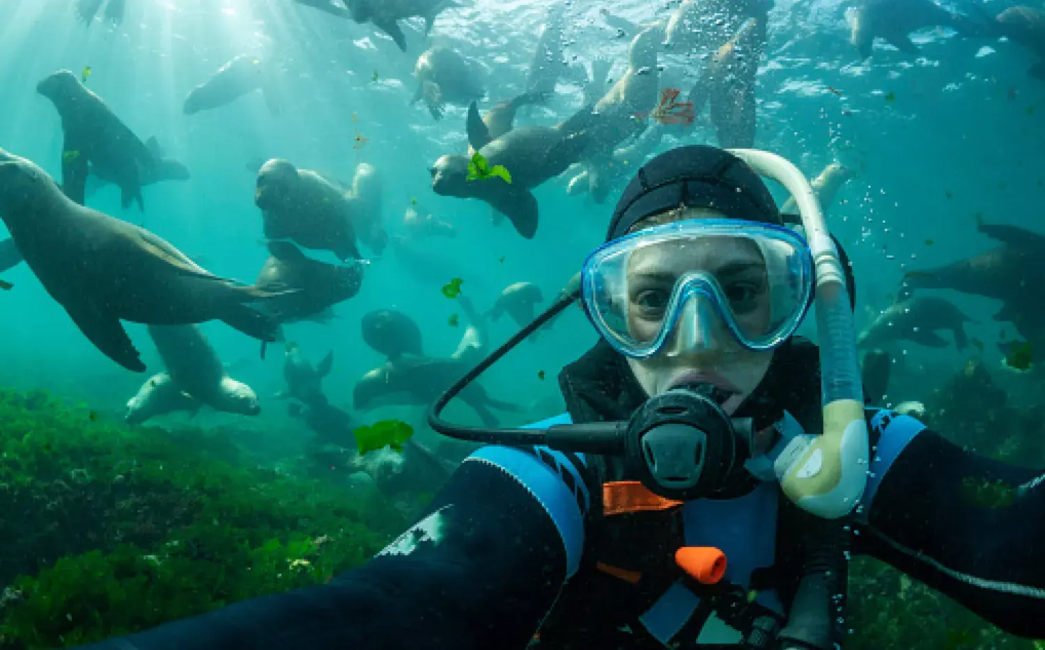 6 cosas que no podés dejar de hacer si visitás la ciudad