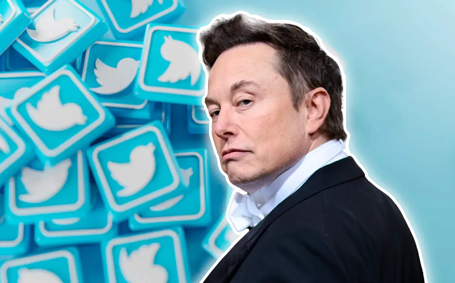 Cambios, despidos y caídas de la red social en la era Elon Musk