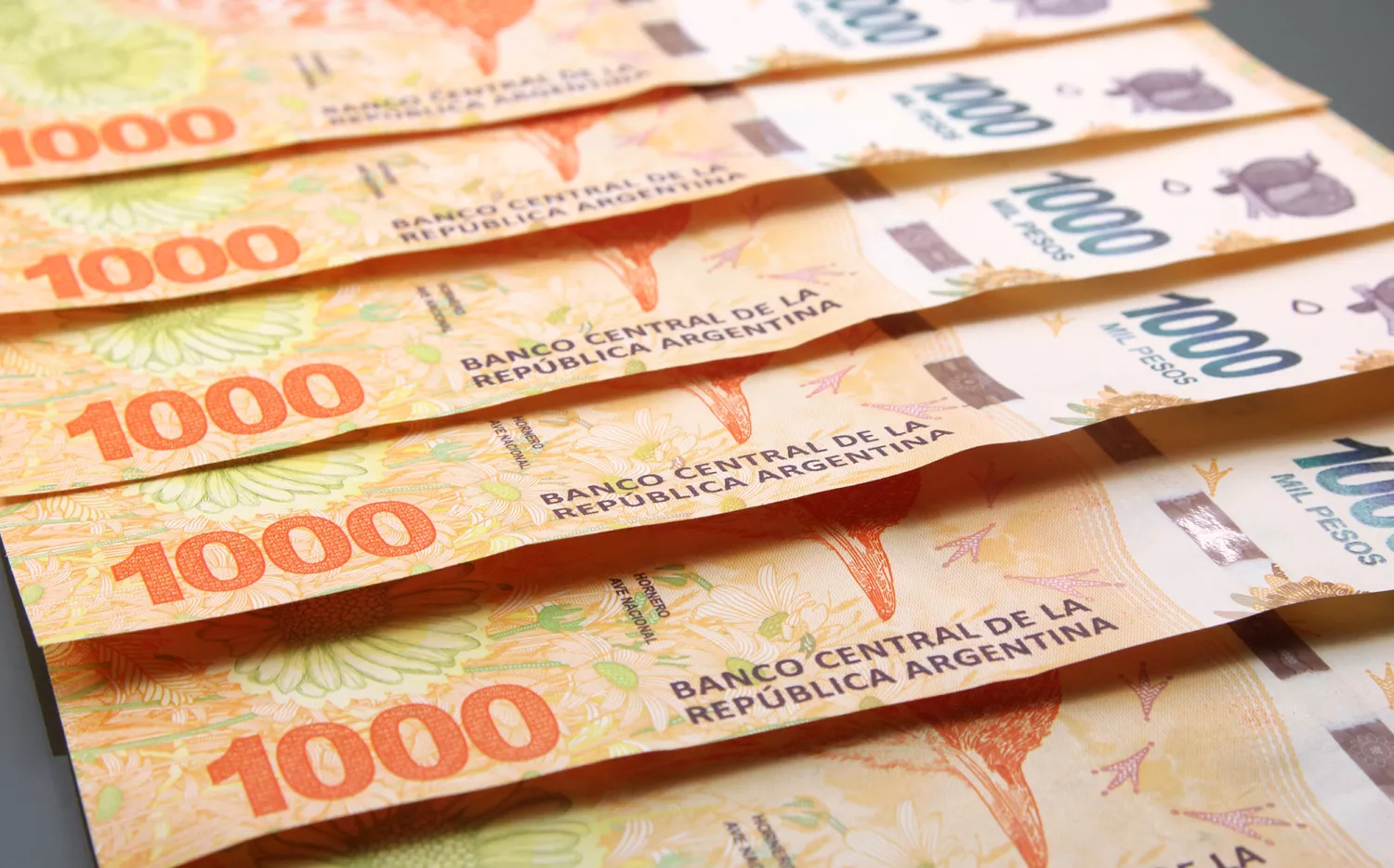 Incertidumbre económica: ¿qué hacer con los pesos?