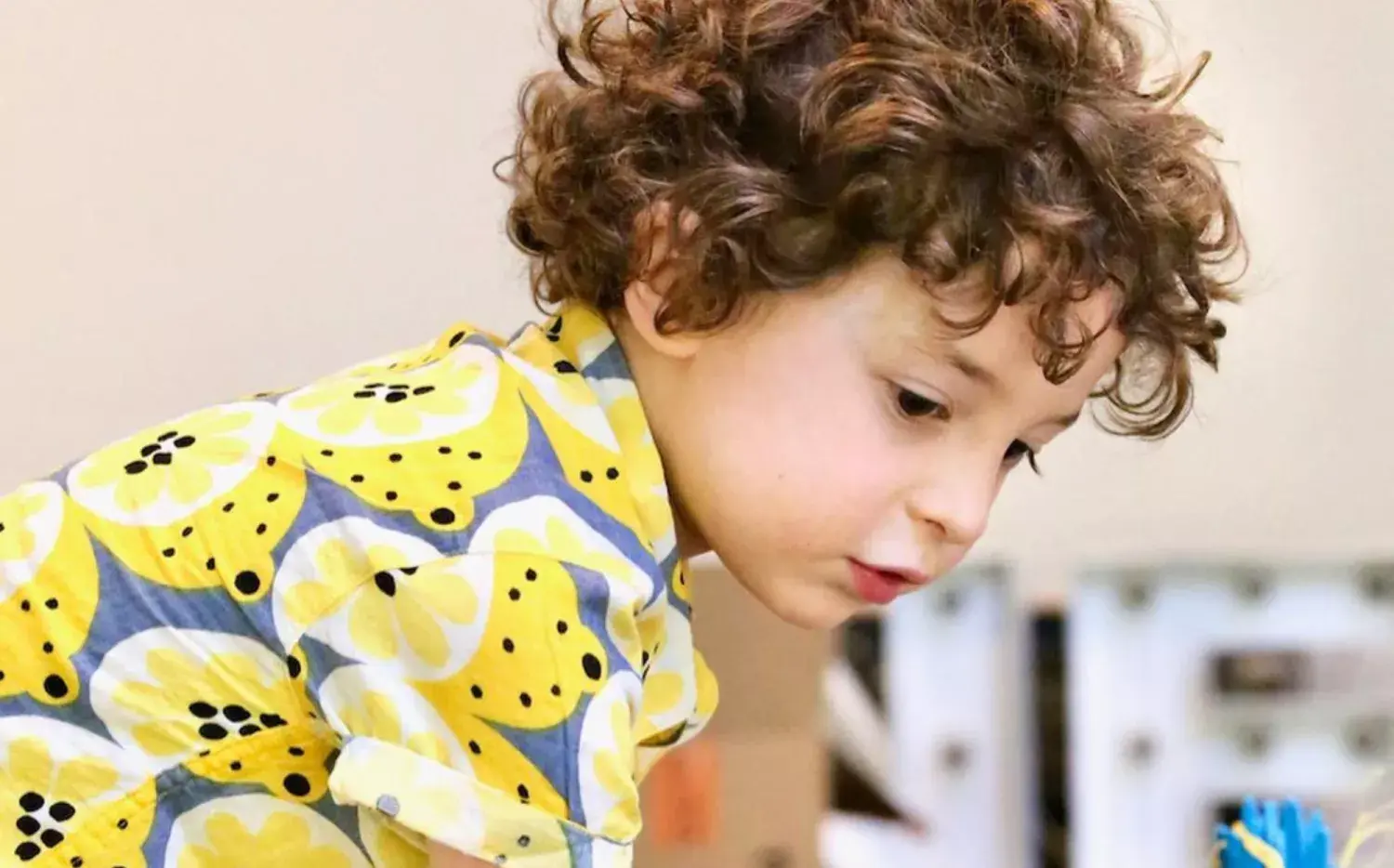 Max Alexander: ¿quién es el chico de 7 años que diseña vestidos de lujo?