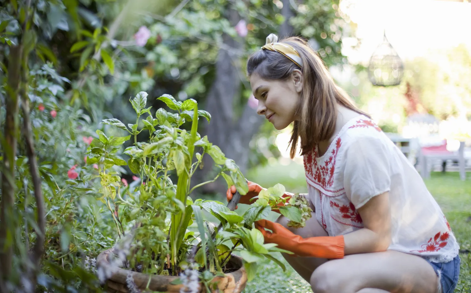 9 plantas venenosas que probablemente tengas en tu jardín