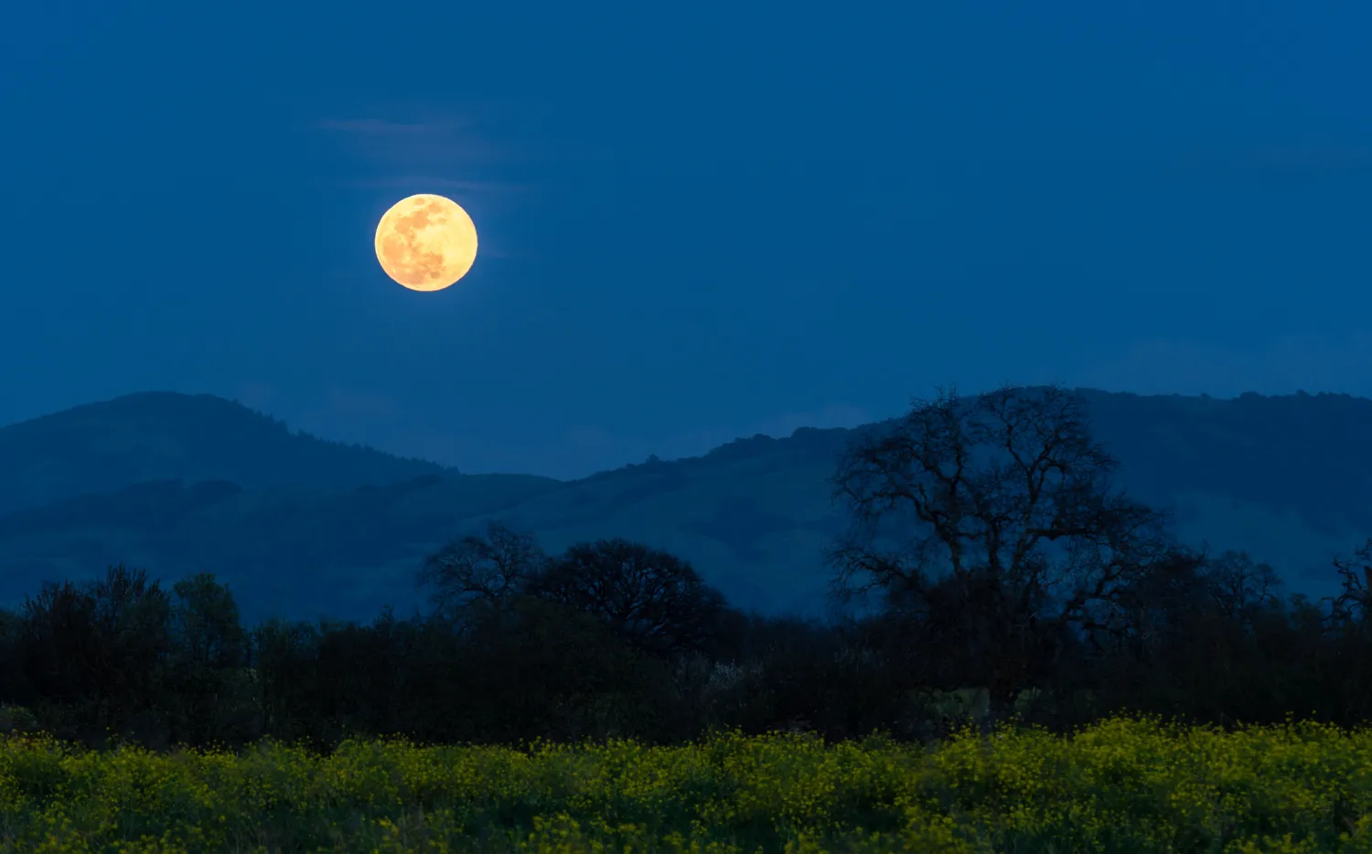 Después de la superluna, ¿cuándo será la próxima luna llena más inusual del año?