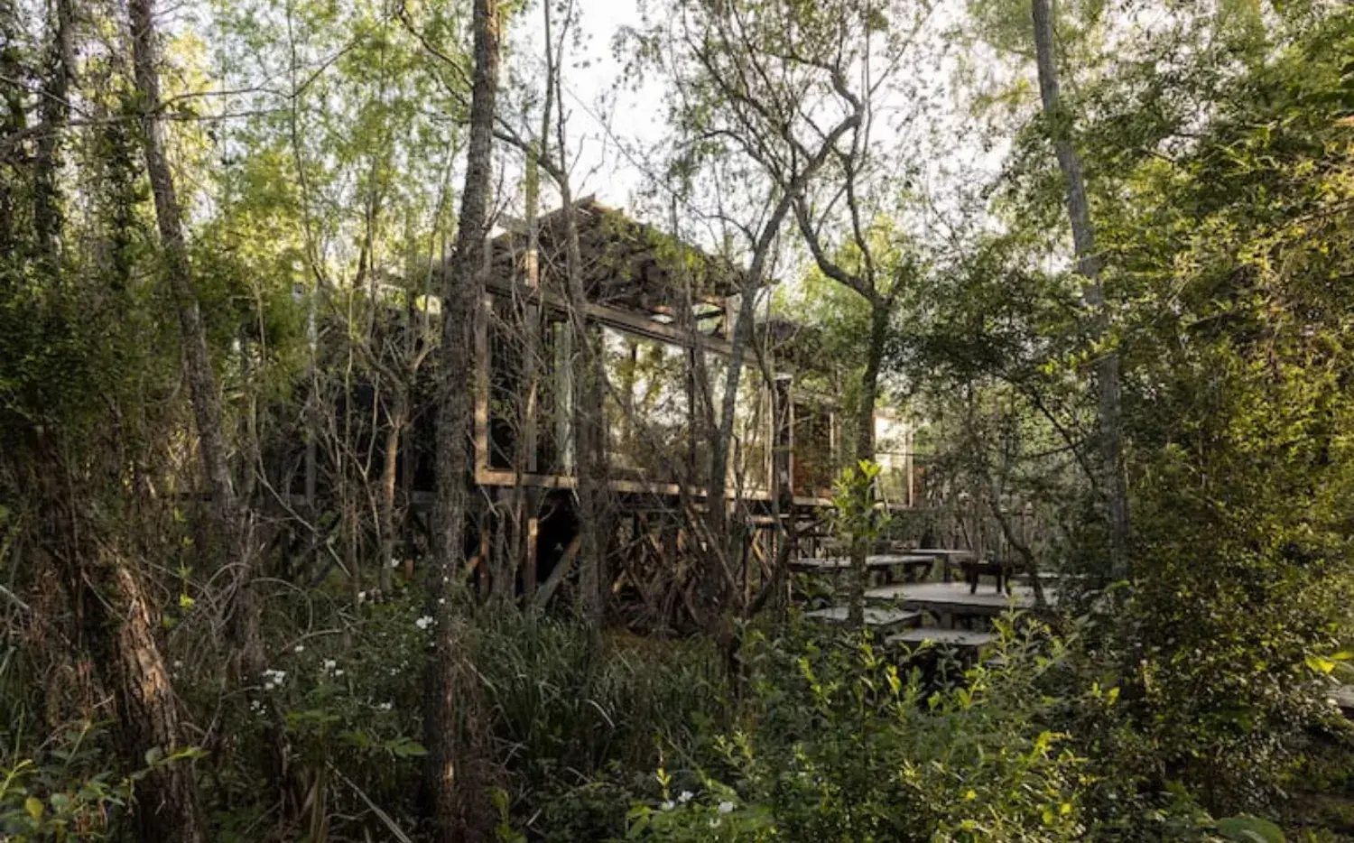 Cuatro casas que se mimetizan con la naturaleza