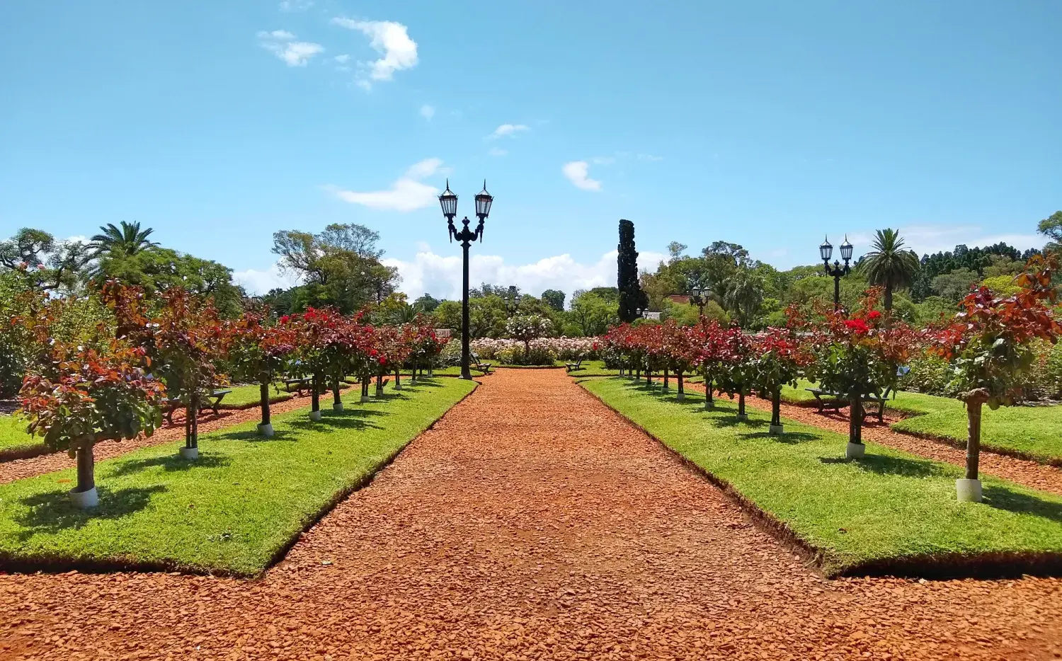 Paraísos botánicos: 5 espacios verdes increíbles en CABA