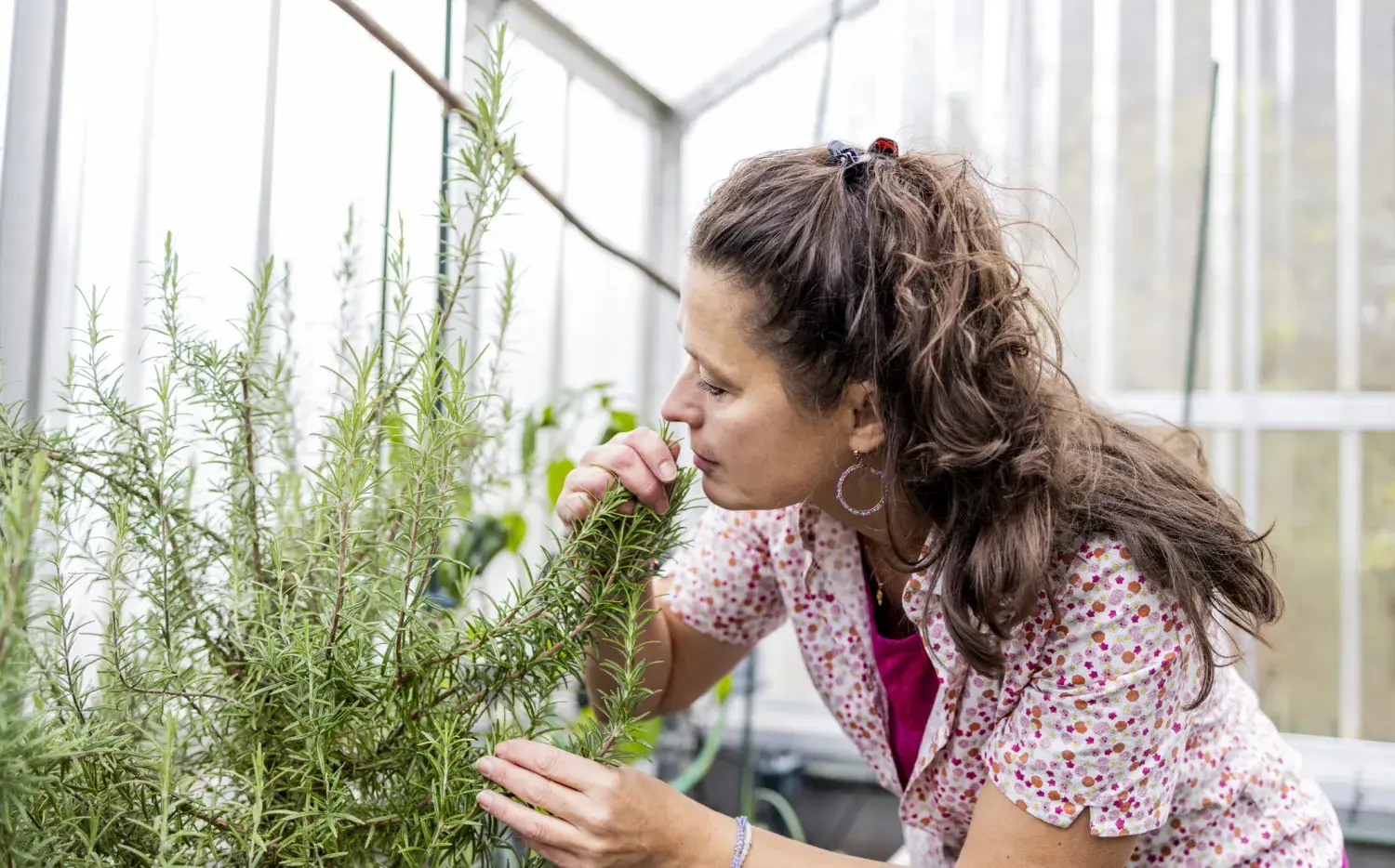 3 plantas que elevan las vibraciones de tu casa, según el feng shui