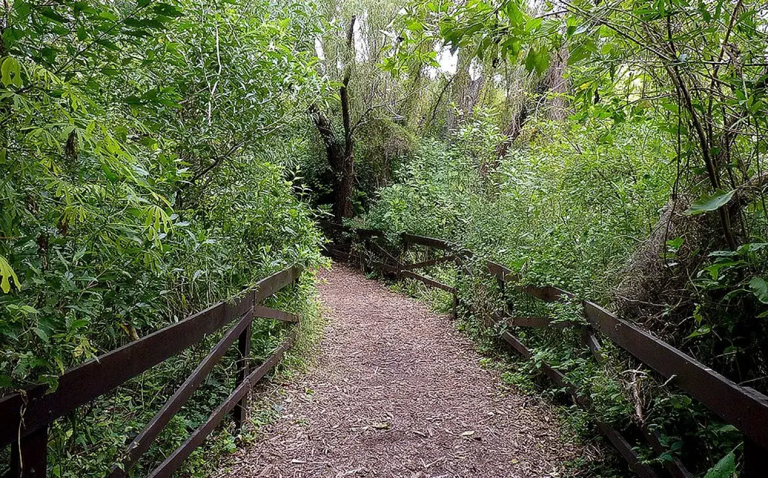 La reserva ecológica de Vicente López, un paseo ideal si estás por Buenos Aires